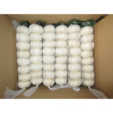 Different Packages Of Jinxiang Pure White Garlic